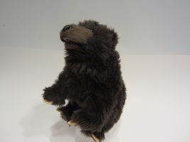 Bear puppet #4