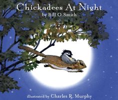 Chickadees at night