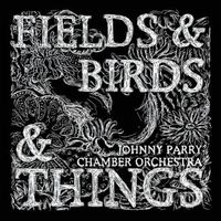 Fields & birds & things