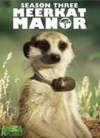 Meerkat manor. Season 3