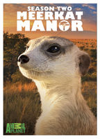 Meerkat manor : Season 2
