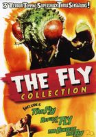 The fly collection