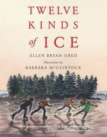 Twelve kinds of ice (AUDIOBOOK)