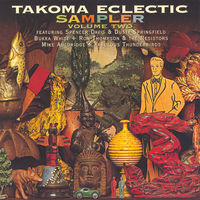 Takoma eclectic sampler. Volume two