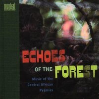 Echoes of the forest : music of the Central African Pygmies.