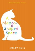 A mango-shaped space : a novel
