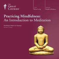 Practicing mindfulness : an introduction to meditation (AUDIOBOOK)