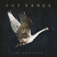 The wild swan