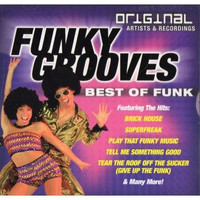 Funky grooves. Best of funk