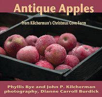 Antique apples : from Kilcherman's Christmas Cove Farm