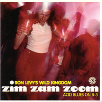 Zim zam zoom : acid blues on B-3