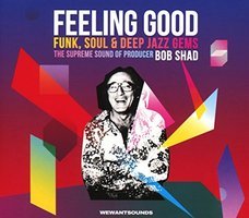 Feeling good : funk, soul & deep jazz gems : the supreme sound of producer Bob Shad.