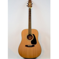 Guitar Kit #1 : Peavey Tupelo Acoustic Guitar