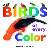 Birds of every color