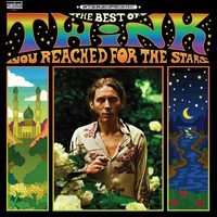 You reached for the stars : the best of Twink. (VINYL)