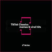 Tiktok classics : memes & viral hits